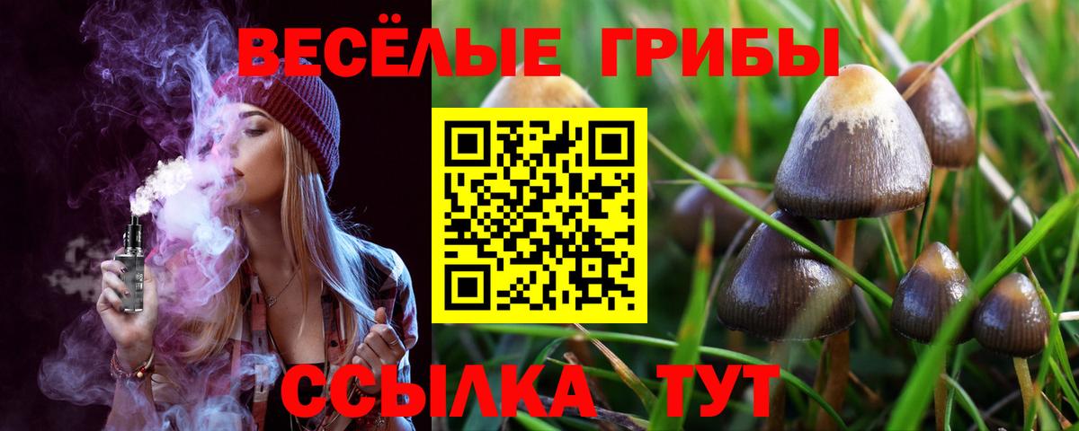 Галлюциногенные грибы GOLDEN TEACHER  Вход с VPN  Галлюциногенные грибы MAGIC MUSHROOMS  Шарыпово 